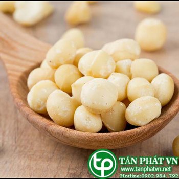 Ở đâu bán macca úc tại Nghệ An giá 420k/1kg