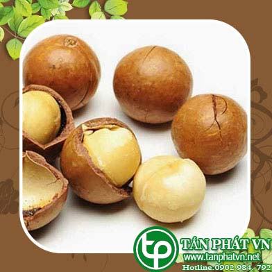 Ở đâu bán macca úc tại Thái Nguyên chất lượng uy tín